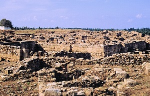 Ugarit Ruins